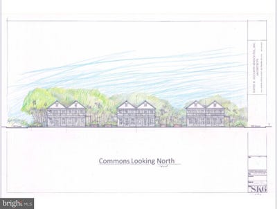 /international/us/franklintown-subdivision-baltimore-md-110099143747/