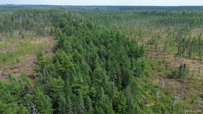 /international/us/9040-bone-lake-newberry-mi-110101002368/?lang=it