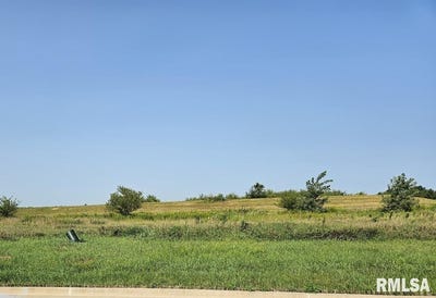 /international/us/kyle-court-lot-80-metamora-il-110087090039/