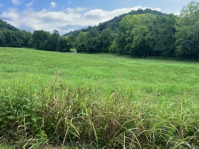 /international/us/lot-15-long-hollow-acres-burkesville-ky-110101221999/