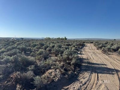 /international/us/bark-loop-silver-lake-or-110107831067/