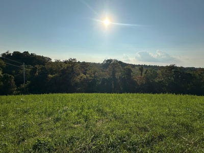 /international/us/17a-bald-hill-carlisle-ky-110100844827/
