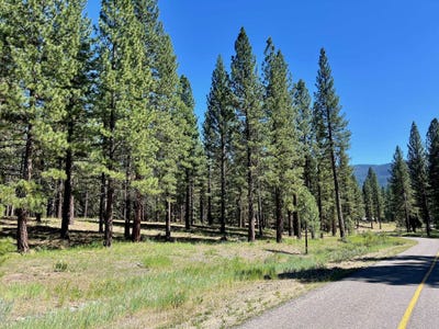 /international/us/1855-valley-ranch-drive-clio-ca-110108690514/