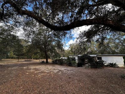 /international/us/12212-ne-238th-terrace-salt-springs-fl-110107734977/