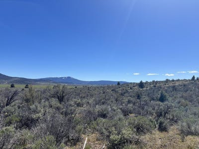 /international/us/sycan-rd-lot-1-2-beatty-or-110106178958/
