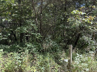 /international/us/s-70th-road-humansville-mo-110107685474/