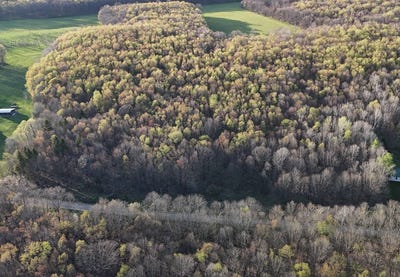 /international/us/00-pigeon-hill-rd-tionesta-pa-110108426739/
