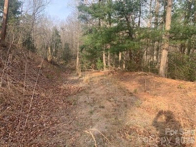 /international/us/7-67-ac-holbert-cove-road-saluda-nc-110107005002/