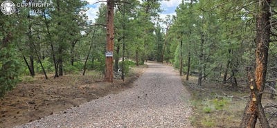 /international/us/165-mosswood-drive-cotopaxi-co-110108480567/