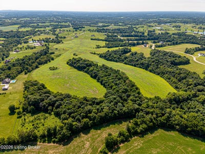 /international/us/cheltenham-rd-lot-44-finchville-ky-110110300622/
