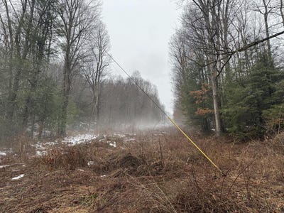 /international/us/727-curtain-rd-craigsville-wv-110097245395/