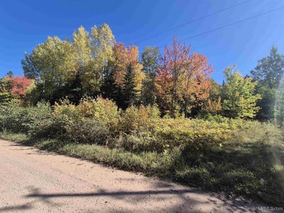 /international/us/8930-sand-lake-road-au-train-mi-110100520649/