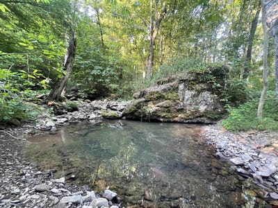 /international/us/10189-hwy-377-witt-s-springs-ar-110106505069/