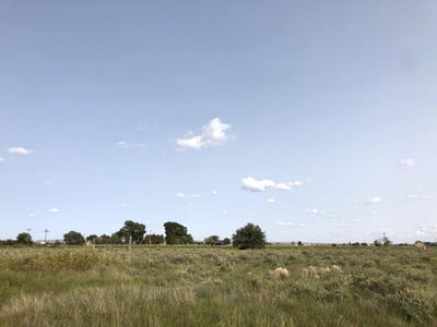 /international/us/clubhouse-road-mcintosh-nm-110080278747/