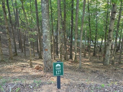 /international/us/lot-127r-red-oak-trail-east-ellijay-ga-110101342679/?lang=zh-tw