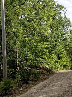 /international/us/r13-038-weeks-road-parsonsfield-me-110102751997/