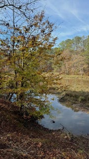 /international/us/320-watersedge-dr-cross-hill-sc-110097696471/