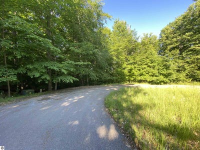 /international/us/lot-10-s-club-drive-cedar-mi-110100149145/?lang=zh-tw