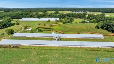 /international/us/823-coal-mine-road-boaz-al-110101218503/?lang=zh-cn