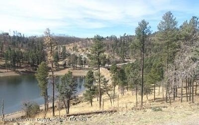 /international/us/212-lake-shore-drive-alto-nm-110106559372/