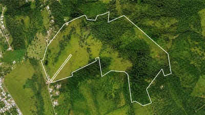 /international/us/971-km-14-5-bo-duque-naguabo-pr-110108190552/