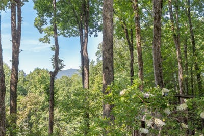 /international/us/420-highlands-view-road-lot-21-22-23-26-highlands-va-110119570626/