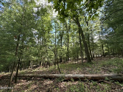 /international/us/jennifer-drive-lot-16-huntingdon-pa-110109003820/