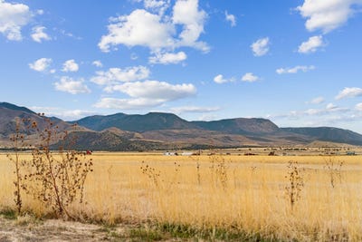 /international/us/1615-w-sunflower-ln-fillmore-ut-110103776996/