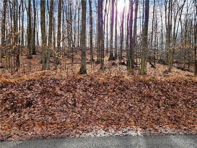 /international/us/324-woolendean-rd-du-bois-pa-110104306366/