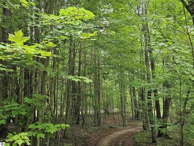 /international/us/v-l-canyon-road-leroy-mi-110100806777/