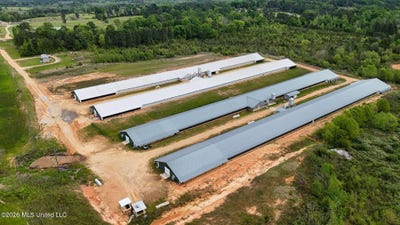 /international/us/53-jones-chapel-road-collins-ms-110107192526/