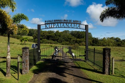 /international/us/29-596-chin-chuck-rd-hakalau-hi-110100351289/