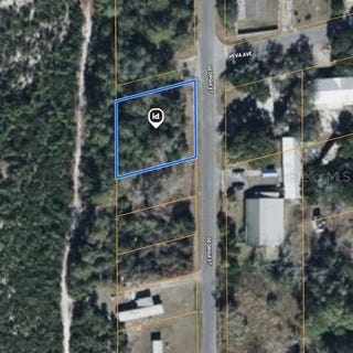 /international/us/15-17-28-0200-009-00100-georgia-street-paisley-fl-110106845714/