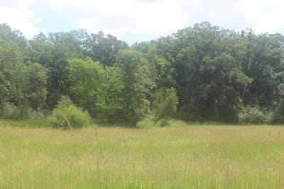 /international/us/14xxx-green-meadow-road-milaca-mn-110109256618/