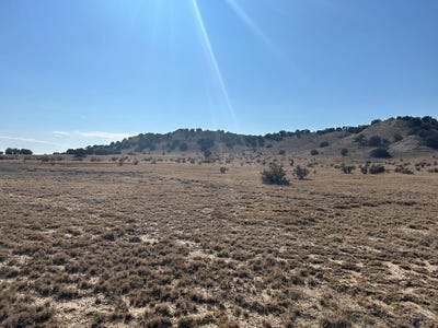/international/us/tbd-40ac-las-animas-ranches-delhi-co-110095011987/
