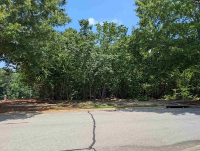 /international/us/1060-coogler-crossing-drive-blythewood-sc-110100614540/?lang=zh-tw