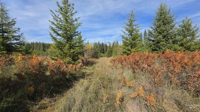 /international/us/timberline-heights-parcel-5-weippe-id-110120531174/