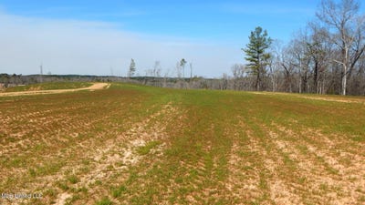 /international/us/706-graysport-crossing-road-lot-14-gore-springs-ms-110089772115/