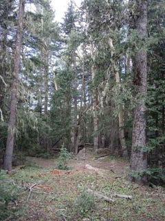 /international/us/lot-43-happy-way-angel-fire-nm-110062012990/?lang=zh-cn