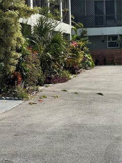 /international/us/2452-taylor-street-hollywood-fl-110106476073/