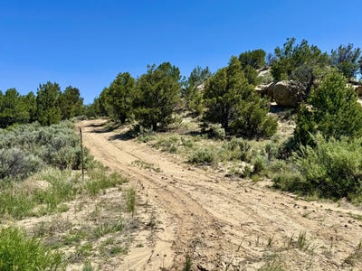 /international/us/163-cr-402-lindrith-nm-110100333882/