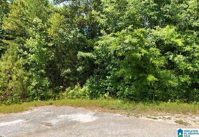 /international/us/rolling-hills-lane-lot-1-munford-al-110107896278/