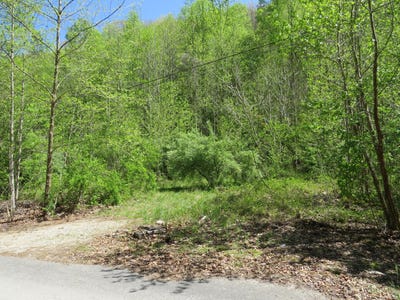 /international/us/trace-branch-road-flat-lick-ky-110107664141/