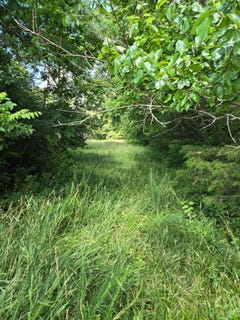 /international/us/25-leaning-oak-road-corinth-ky-110108997898/