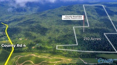 /international/us/210-acres-county-road-604-hollytree-al-110101522294/?lang=zh-cn