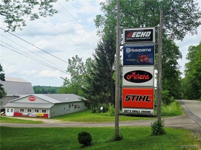 /international/us/9511-utley-road-east-otto-ny-110108718473/