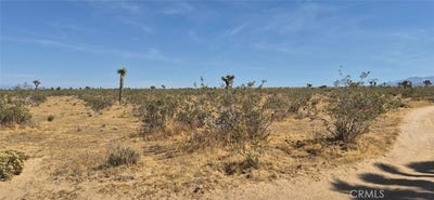 /international/us/1-la-mesa-road-phelan-ca-110108583441/?lang=id