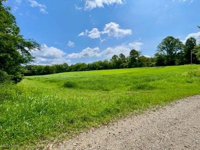 /international/us/70810-angus-road-kimbolton-oh-110101014508/