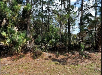 /international/us/brank-street-north-port-fl-110101338250/?lang=zh-cn