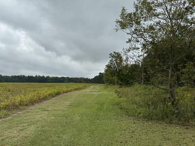 /international/us/1607-james-martin-road-manning-sc-110120133836/